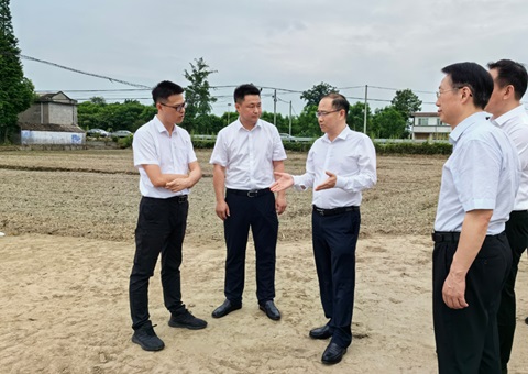 胡云赴眉山调研耕地；；な褂煤透弑曜寂┨锝ㄉ枋虑