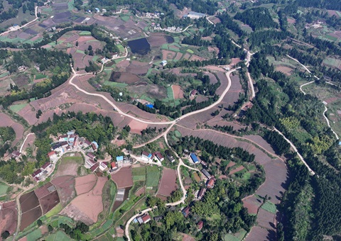 内江市东兴区局周全做好耕地；； 全力做好用地包管