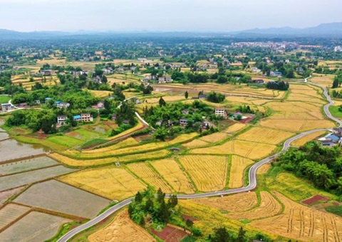 四川增强耕地调入流出治理  确保实现稳固使用耕地面积净增添
