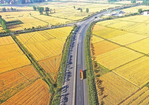 湖北奖励十五个耕保效果突出县（市、、、区）