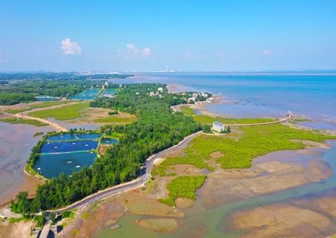 广西北部湾畔：：：墟落妄想引领古渔村“蝶变”