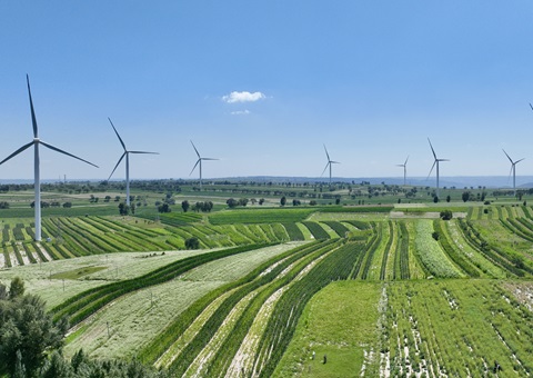 陕西省榆林市定边县：：：领土空间妄想“一张图”实现营业“一站式”高效办理