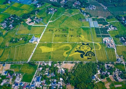 成都宣布耕地；；ね！！未来10年这样筑牢“天府粮仓”基本