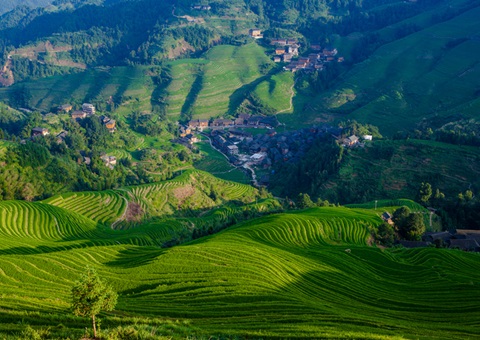 普洱市开启“绿海明珠”自然资源治理新纪元