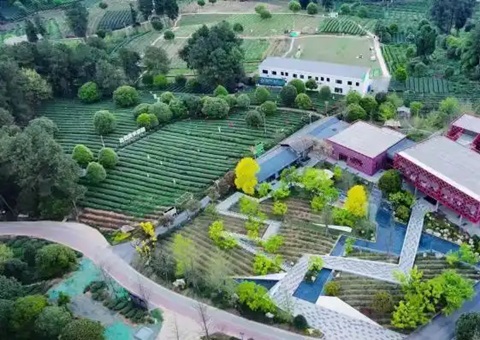 林间“种”出科创空间：四川蒲江用生态颜值撬动经济价值