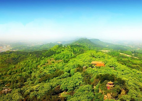 四川泸县青山林海变富民强村“聚宝盆”