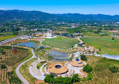 四川金堂：从“卖产品”到“卖风物”！！！墟落妄想铺路让橘香飘出新滋味